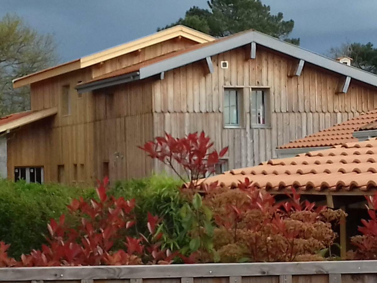 La Cabane 26 D Andernos-les-Bains Luaran gambar